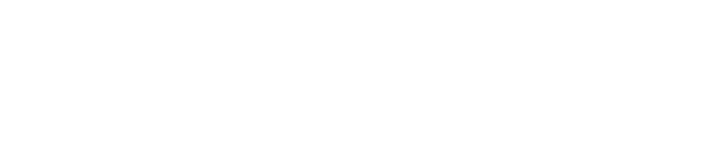 Sentry Enterprise
